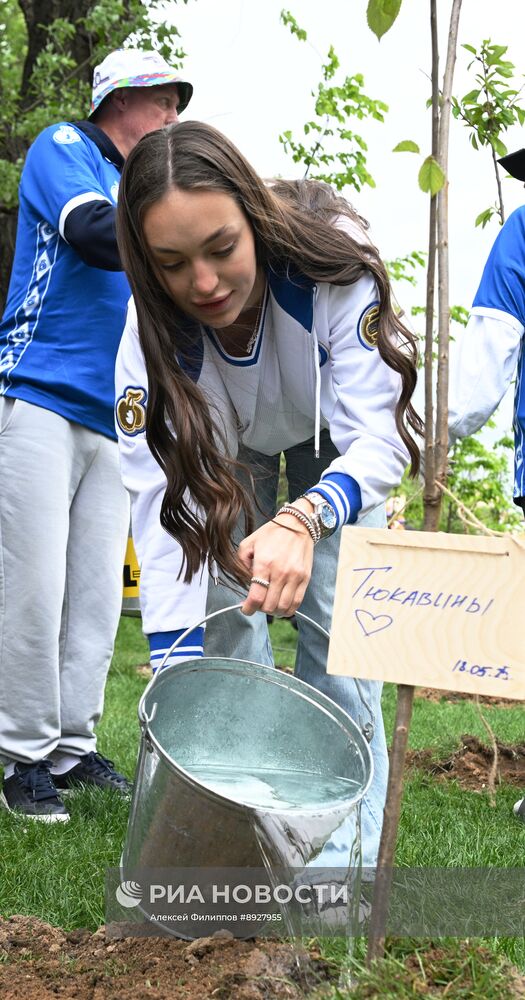 Посадка деревьев в рамках фестиваля "Черешневый лес"