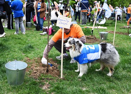 Посадка деревьев в рамках фестиваля "Черешневый лес"