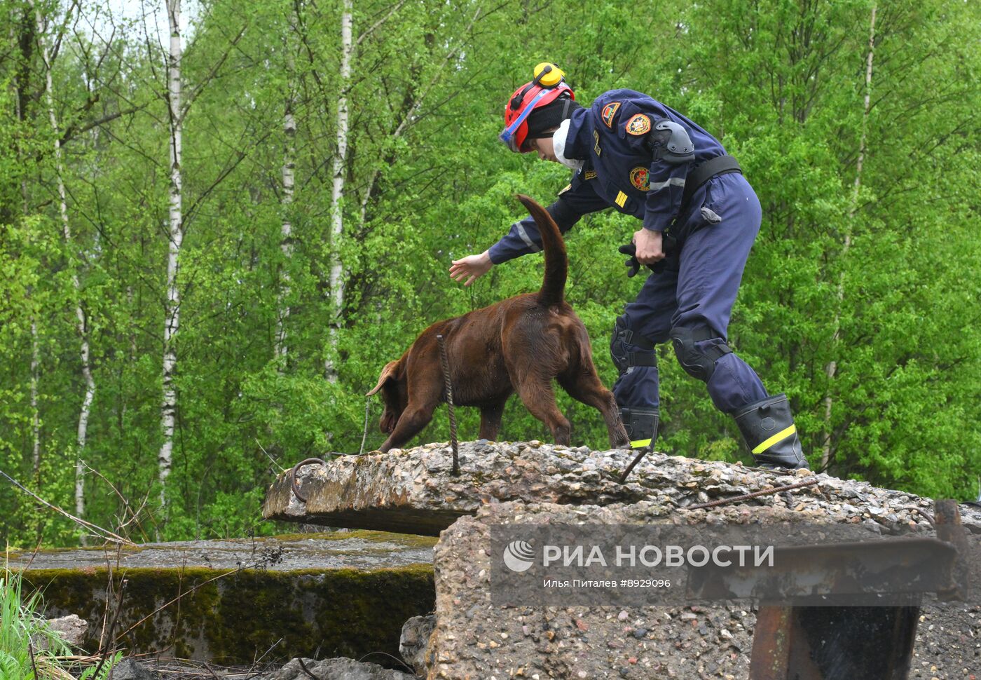 Международные учения Корпуса сил СНГ для ликвидации последствий ЧС 