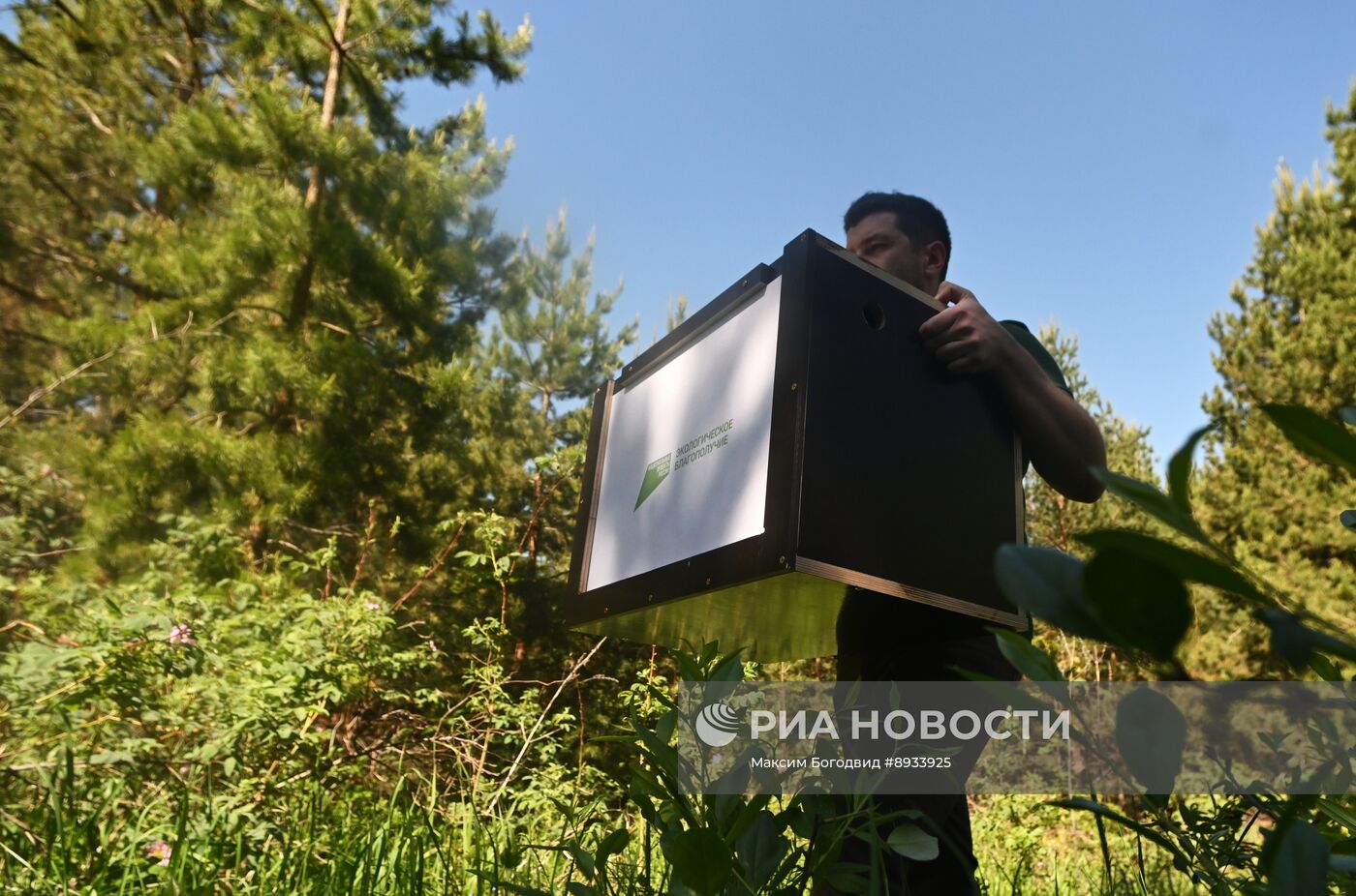 Проект по возрождению популяции сокола-балобана в Татарстане