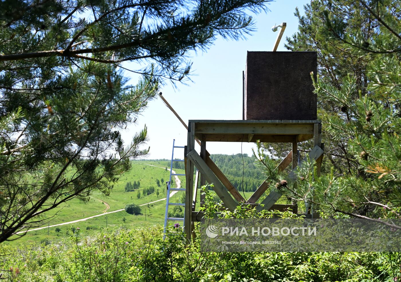 Проект по возрождению популяции сокола-балобана в Татарстане