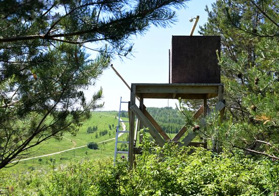 Проект по возрождению популяции сокола-балобана в Татарстане