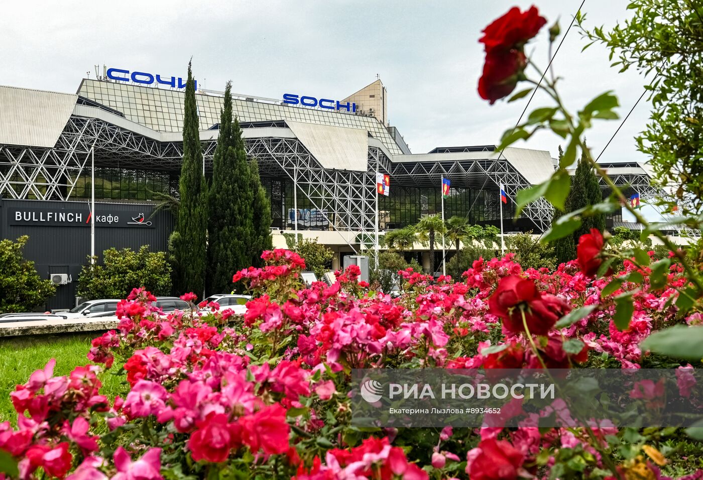 Запуск прямых авиарейсов между Сочи и Абу-Даби