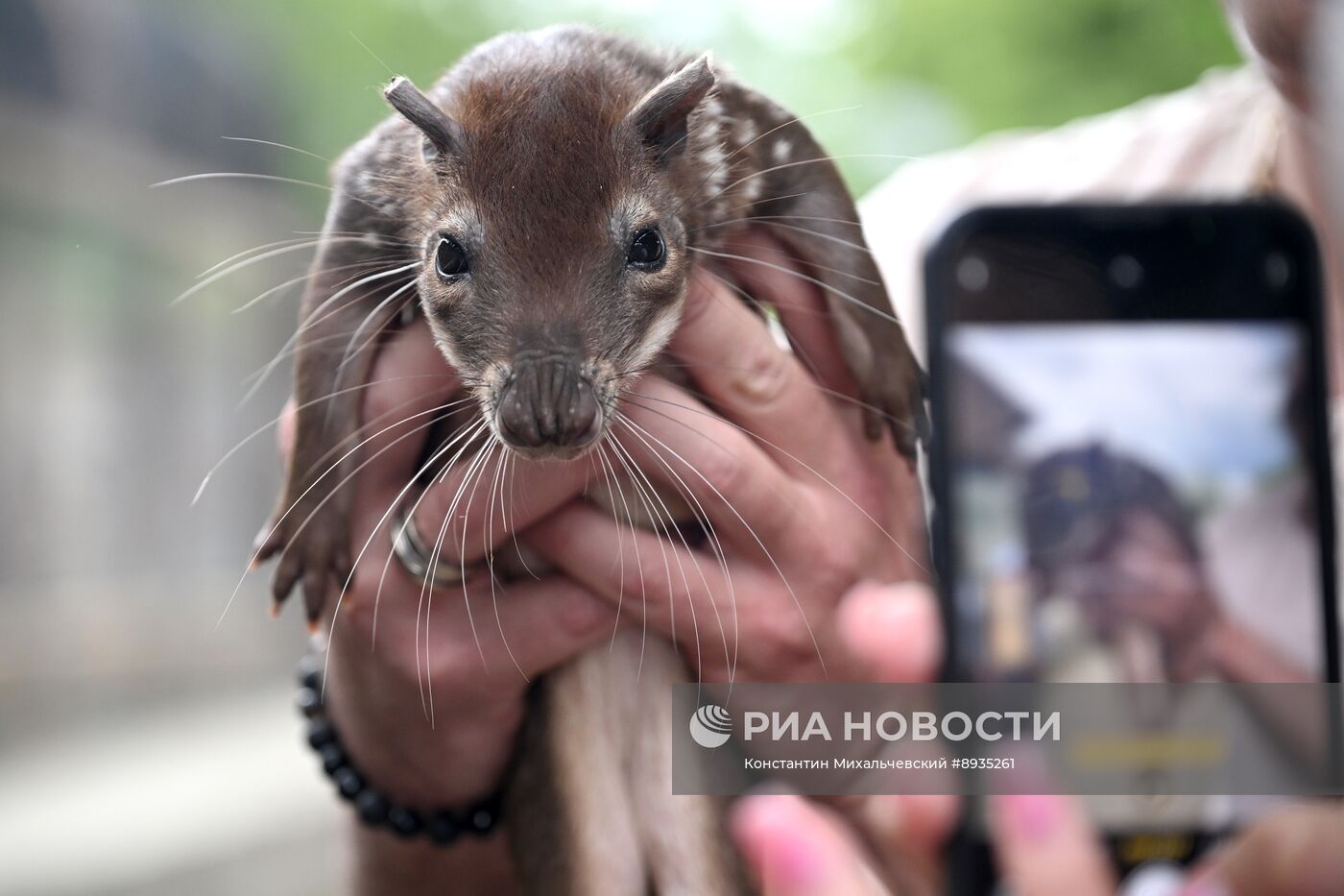 В крымском зоопарке появились новые детеныши