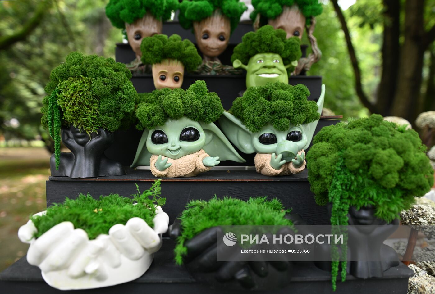 Празднование Дня города в Сочи