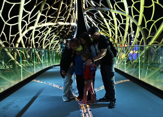 Празднование Дня города в Сочи