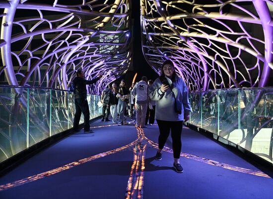 Празднование Дня города в Сочи