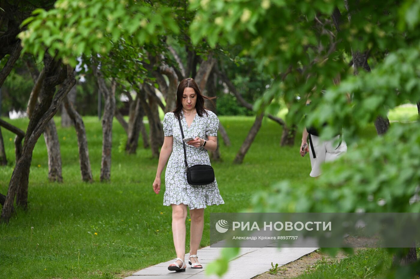 Лето в Новосибирске
