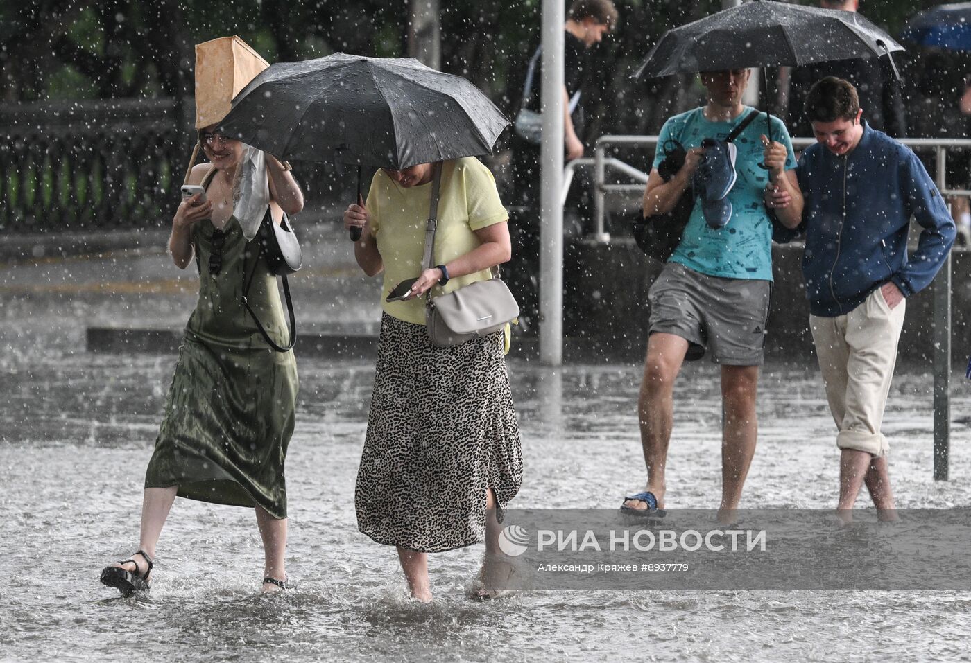 Лето в Новосибирске