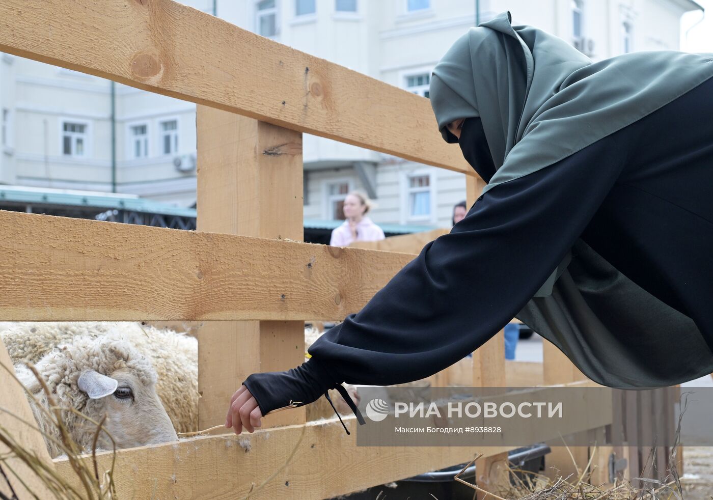Подготовка к празднованию Курбан-байрама