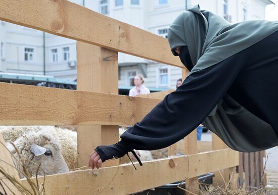 Подготовка к празднованию Курбан-байрама