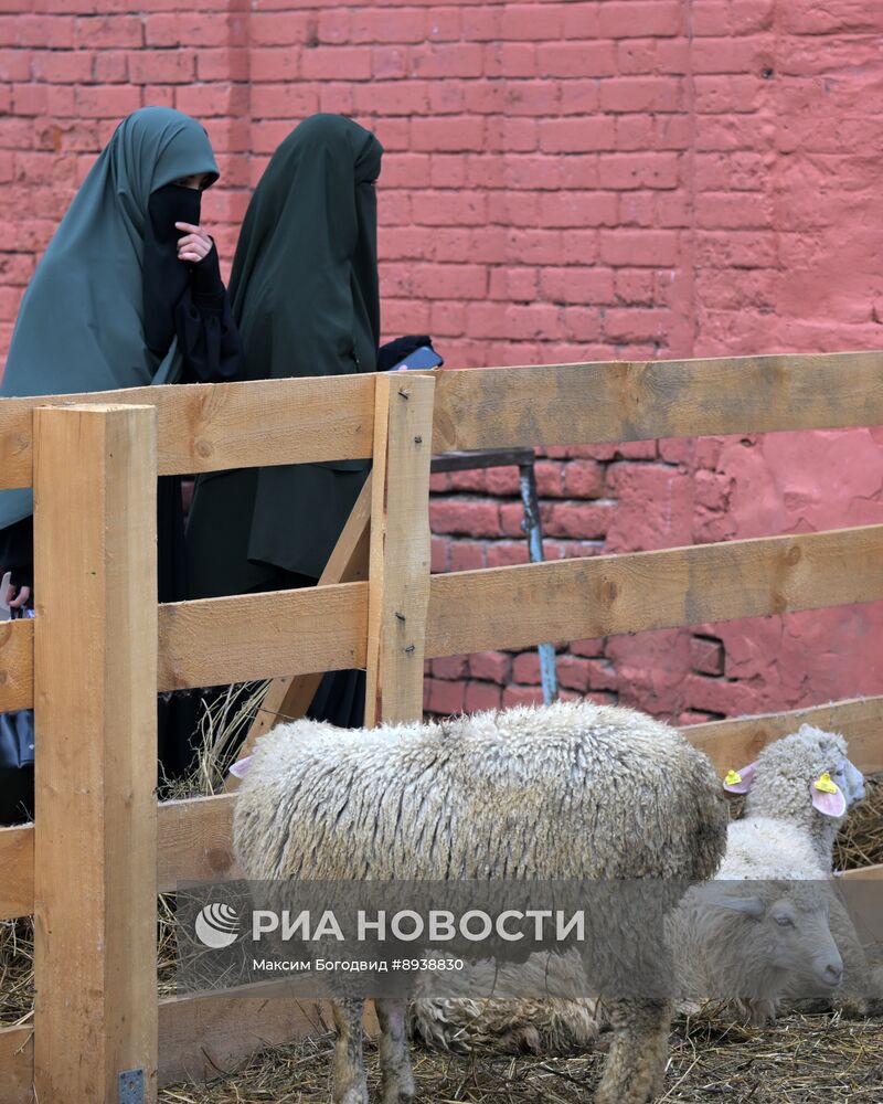 Подготовка к празднованию Курбан-байрама