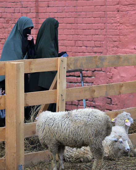 Подготовка к празднованию Курбан-байрама