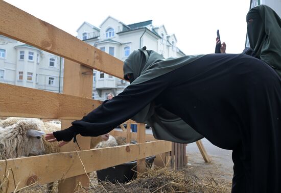Подготовка к празднованию Курбан-байрама