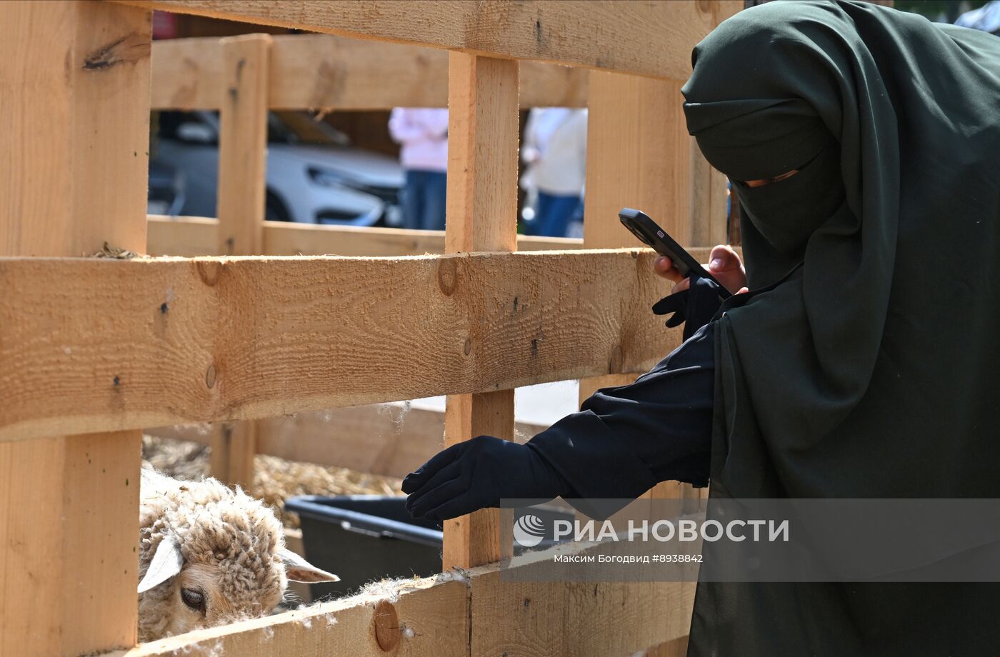 Подготовка к празднованию Курбан-байрама