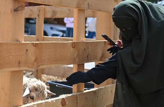 Подготовка к празднованию Курбан-байрама