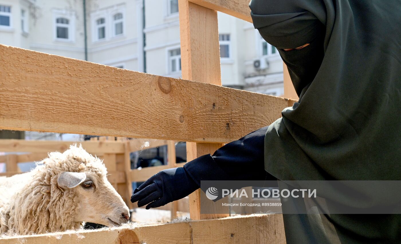 Подготовка к празднованию Курбан-байрама