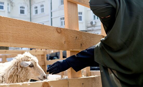 Подготовка к празднованию Курбан-байрама