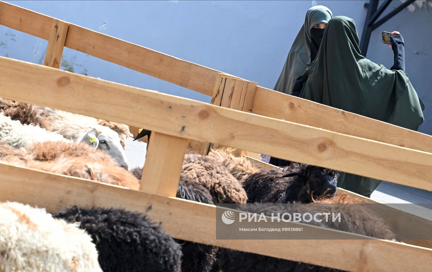 Подготовка к празднованию Курбан-байрама