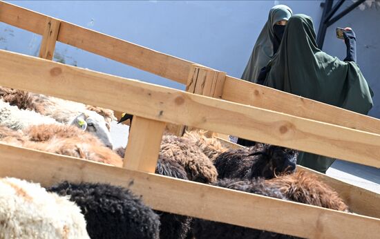 Подготовка к празднованию Курбан-байрама