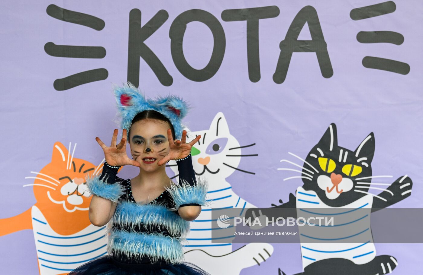 Всемирный день петербургского кота