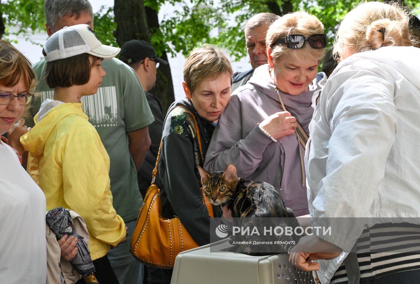 Всемирный день петербургского кота