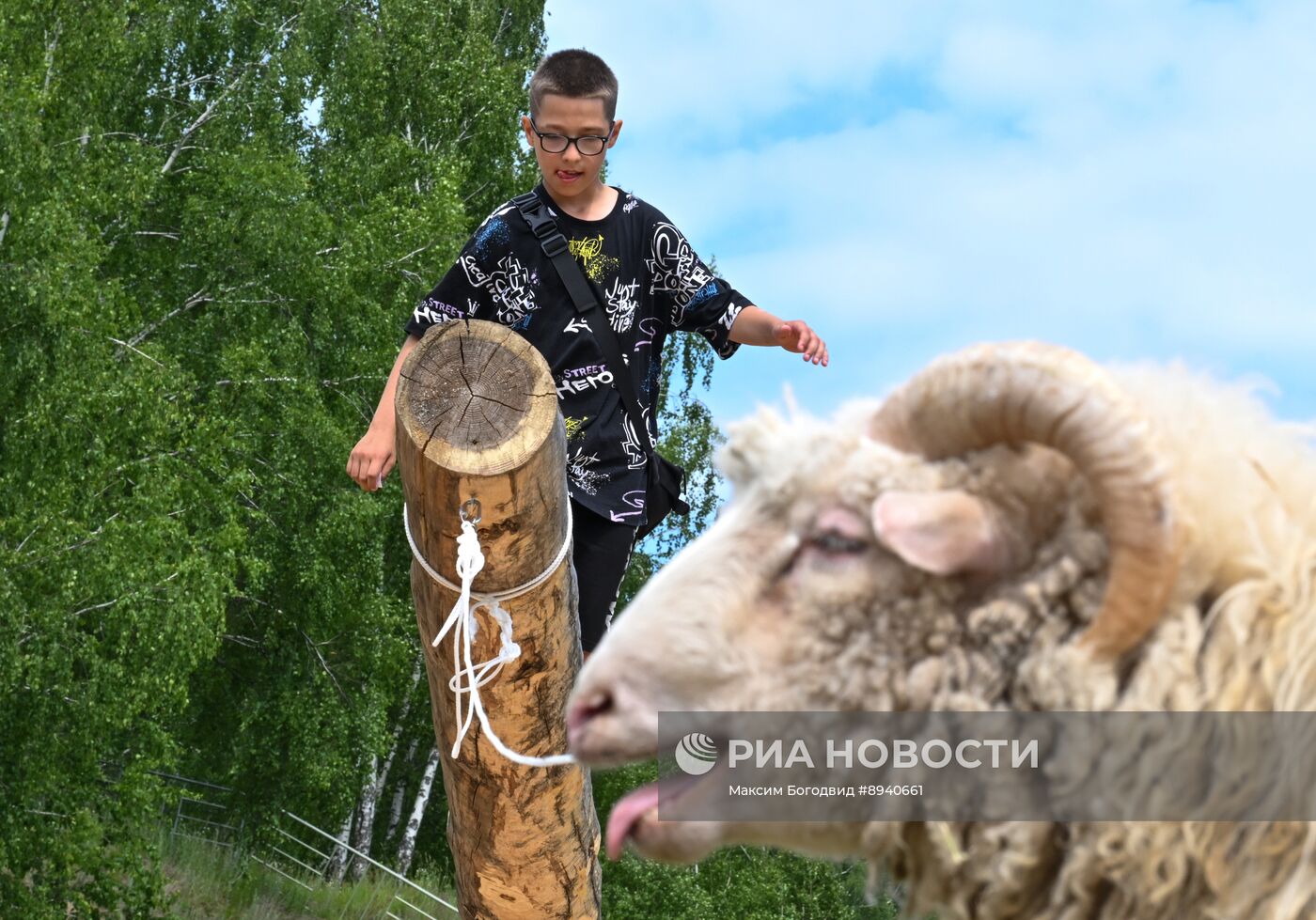 Празднование Сабантуя