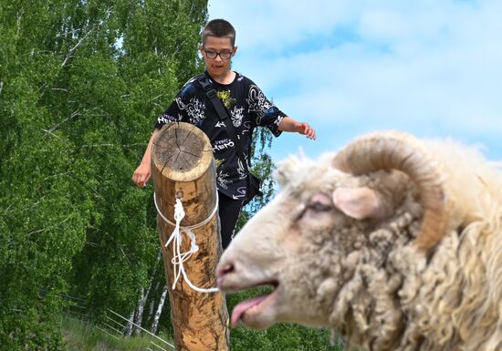 Празднование Сабантуя 