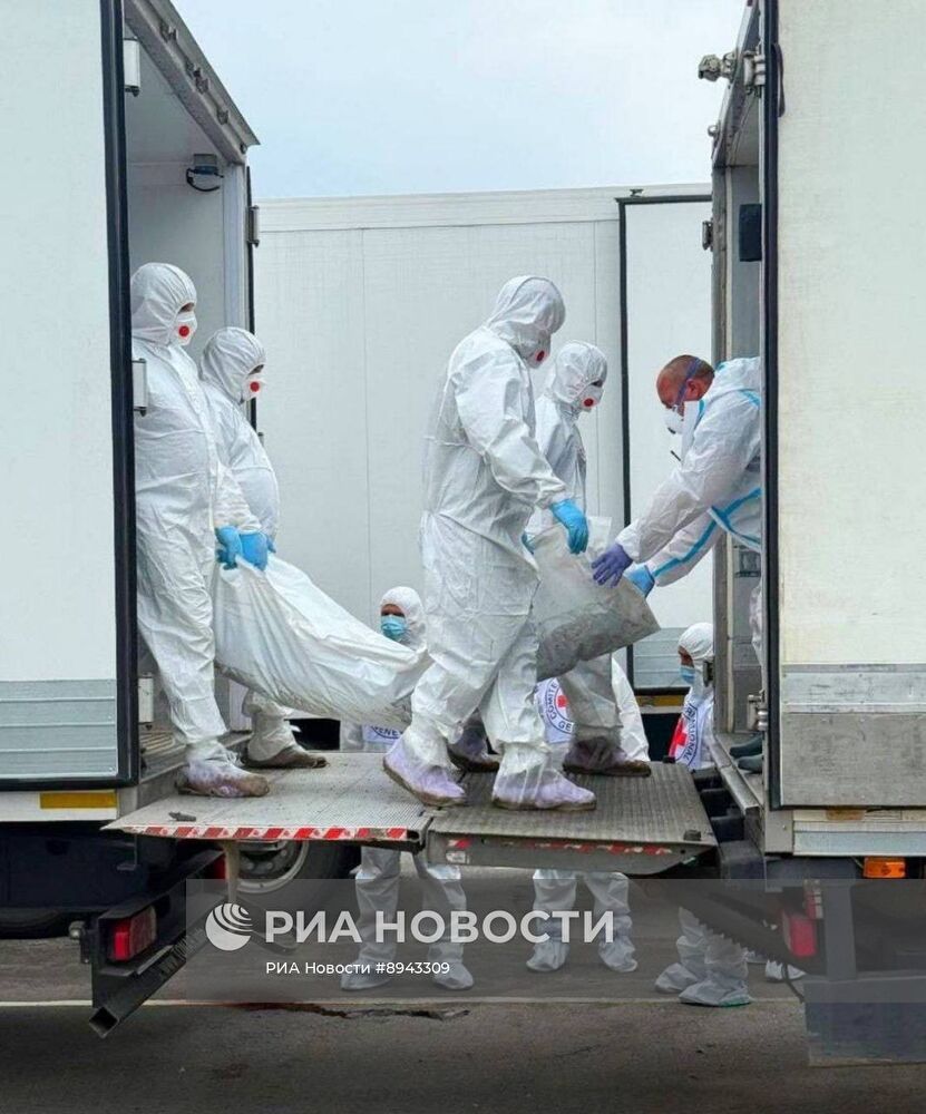 Россия и Украина начали обмен телами погибших солдат