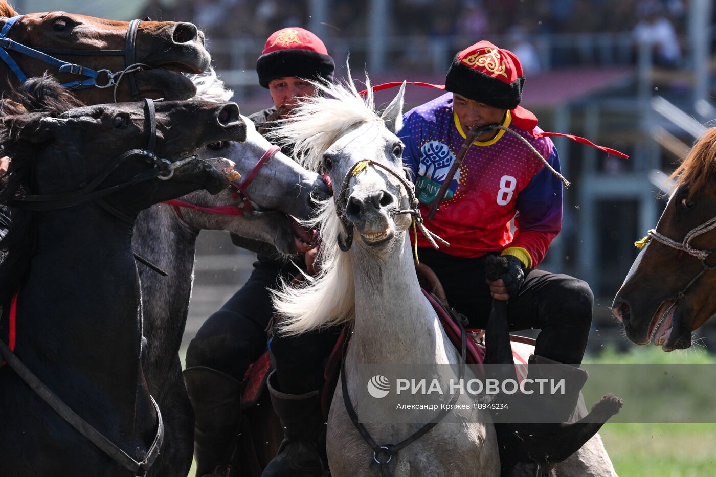 Чемпионат Республики Алтай по Кок-бору