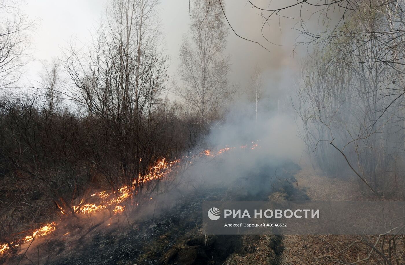 Природные пожары в Забайкальском крае