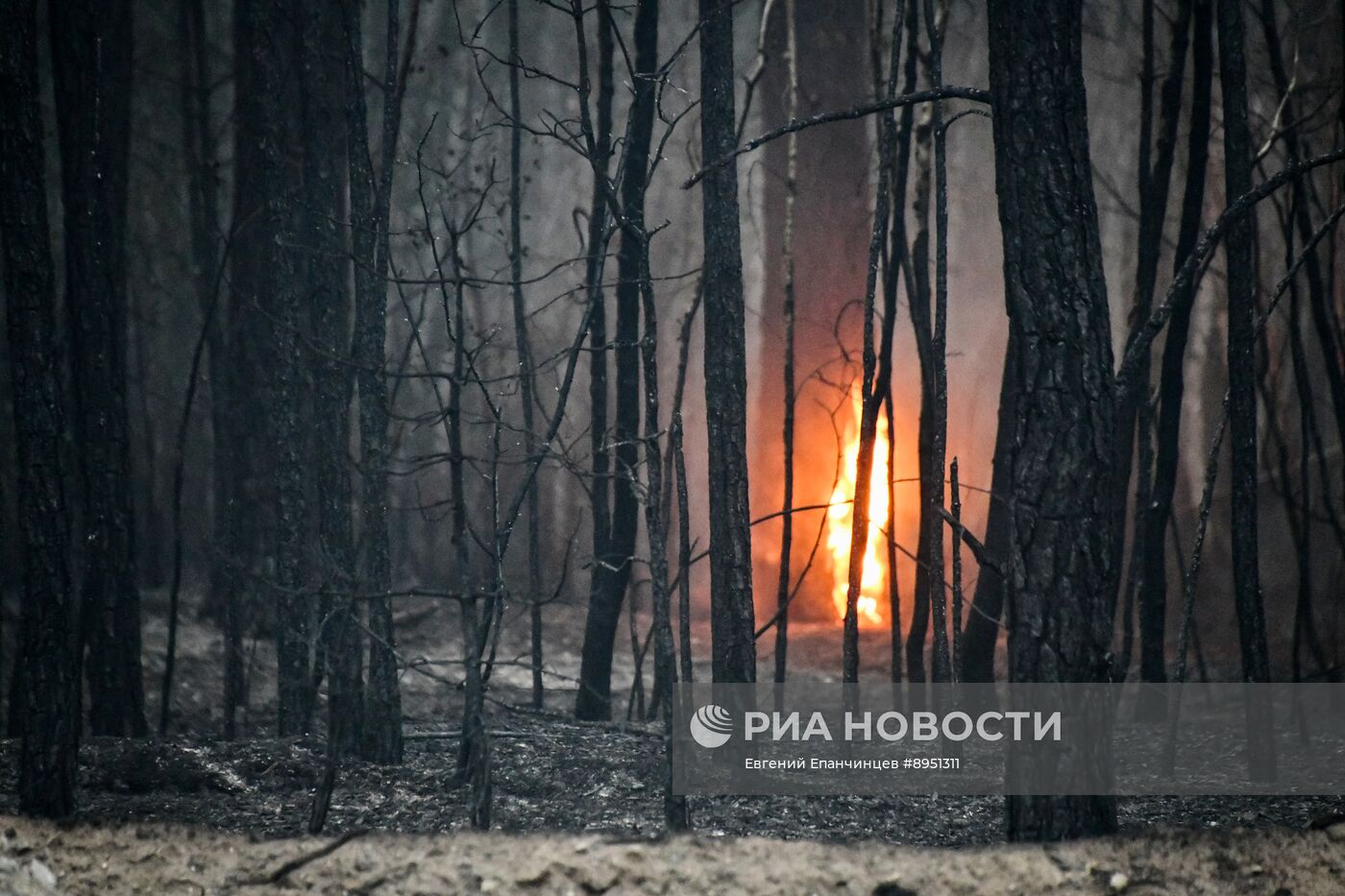 Природные пожары в Забайкальском крае
