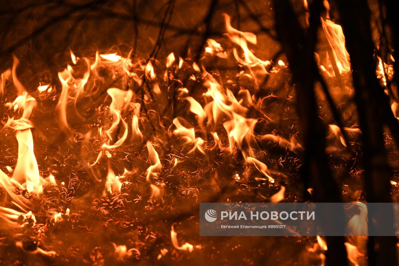 Природные пожары в Забайкальском крае