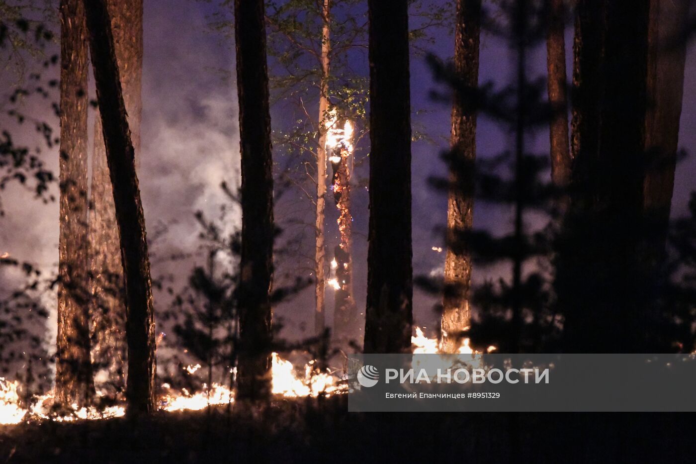 Природные пожары в Забайкальском крае