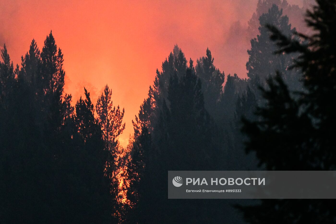 Природные пожары в Забайкальском крае