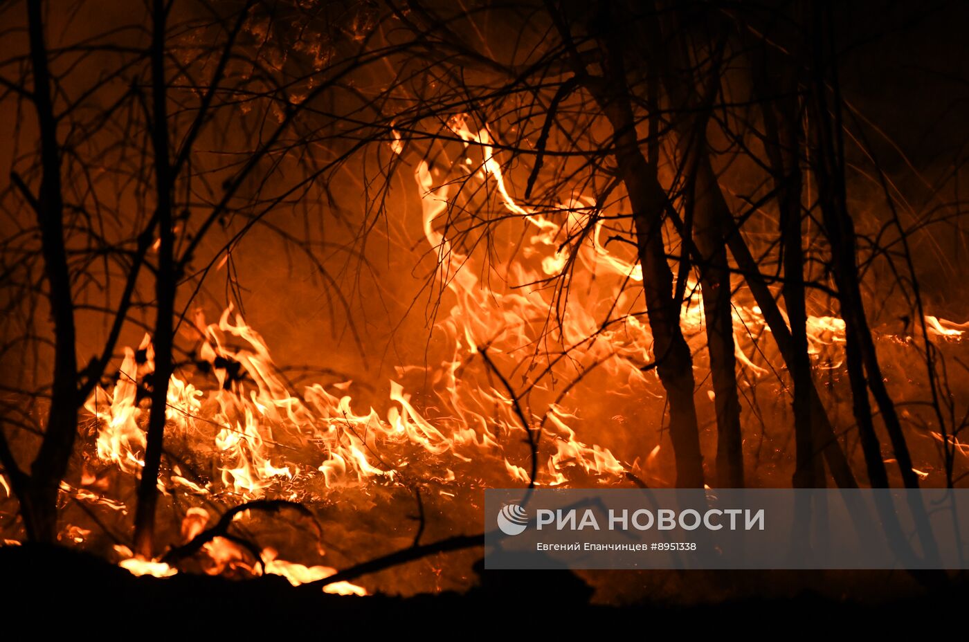 Природные пожары в Забайкальском крае