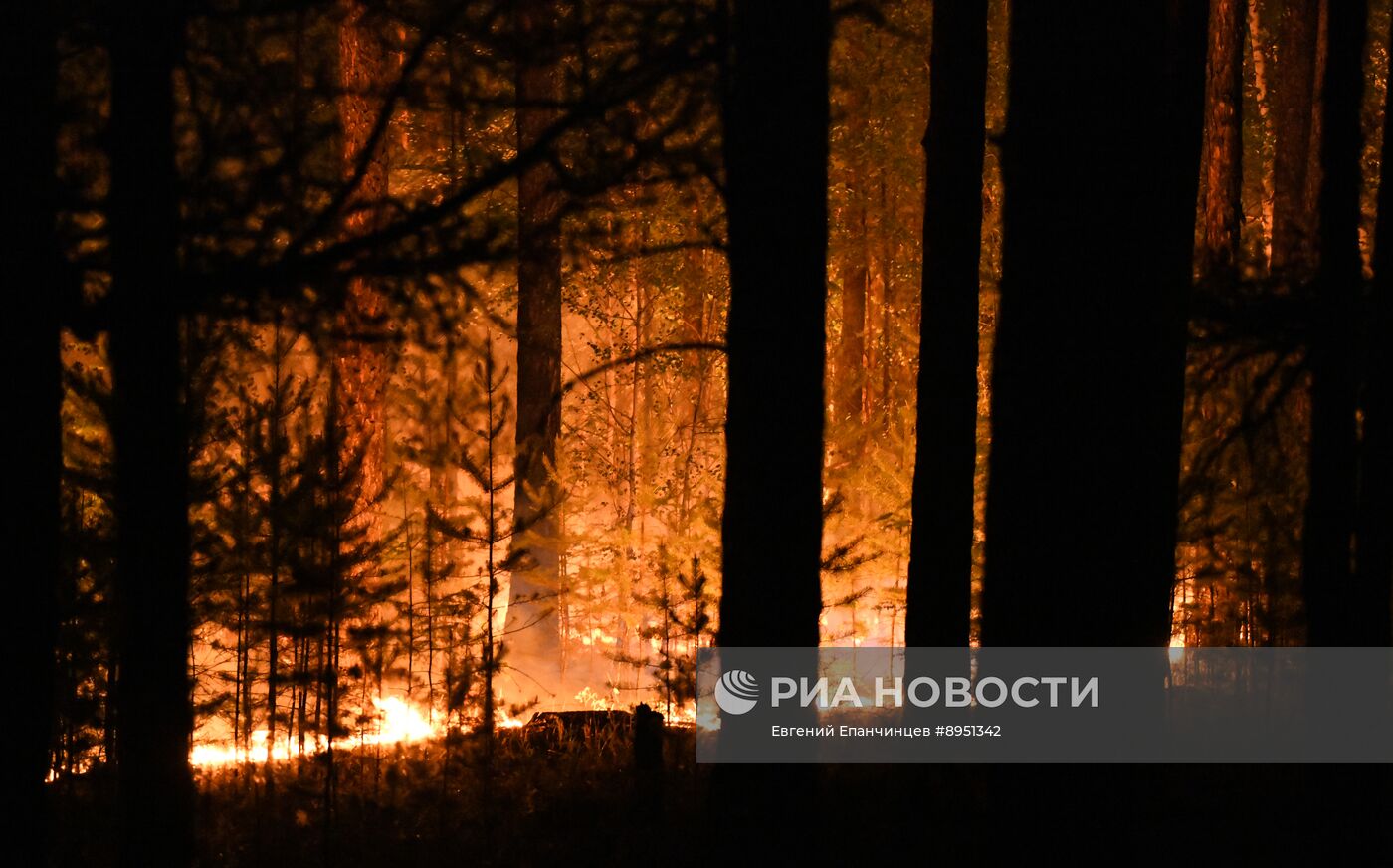 Природные пожары в Забайкальском крае