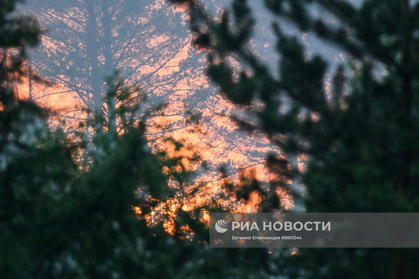 Природные пожары в Забайкальском крае