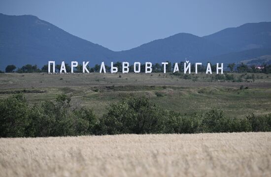 Парк львов "Тайган"