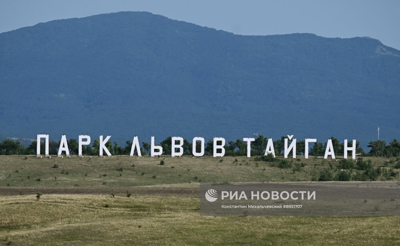 Парк львов "Тайган"