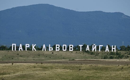 Парк львов "Тайган"