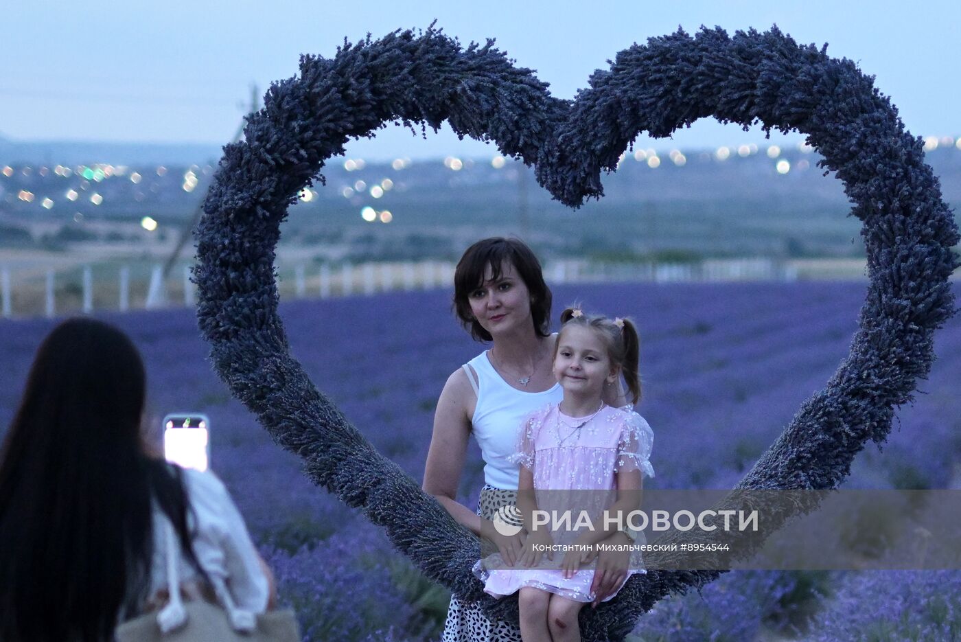 Лавандовые поля в Крыму