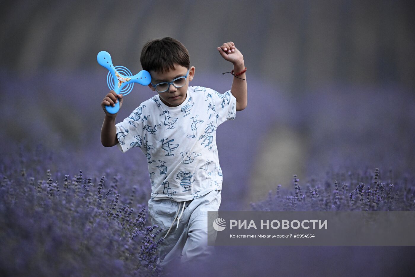 Лавандовые поля в Крыму