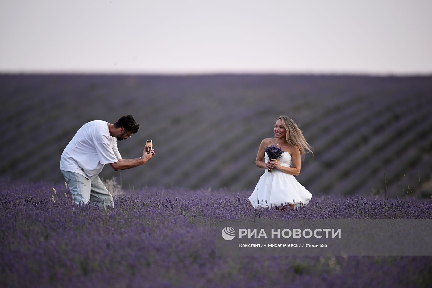 Лавандовые поля в Крыму