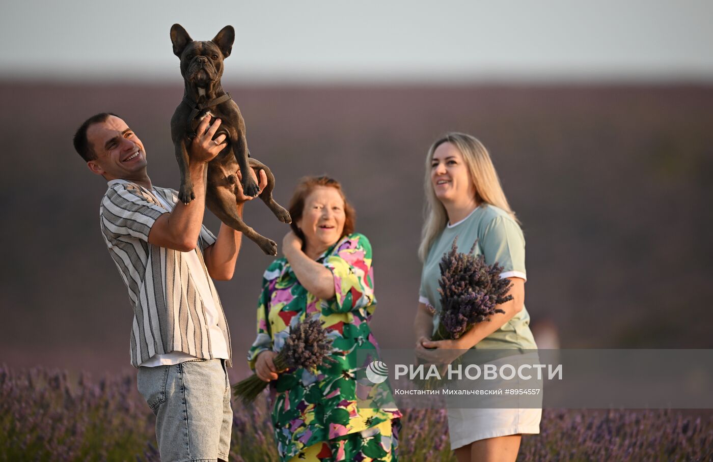 Лавандовые поля в Крыму