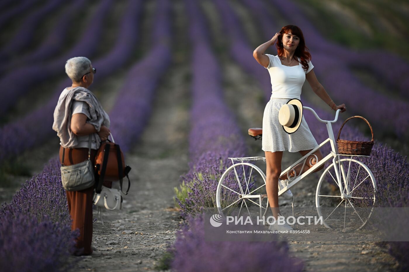 Лавандовые поля в Крыму