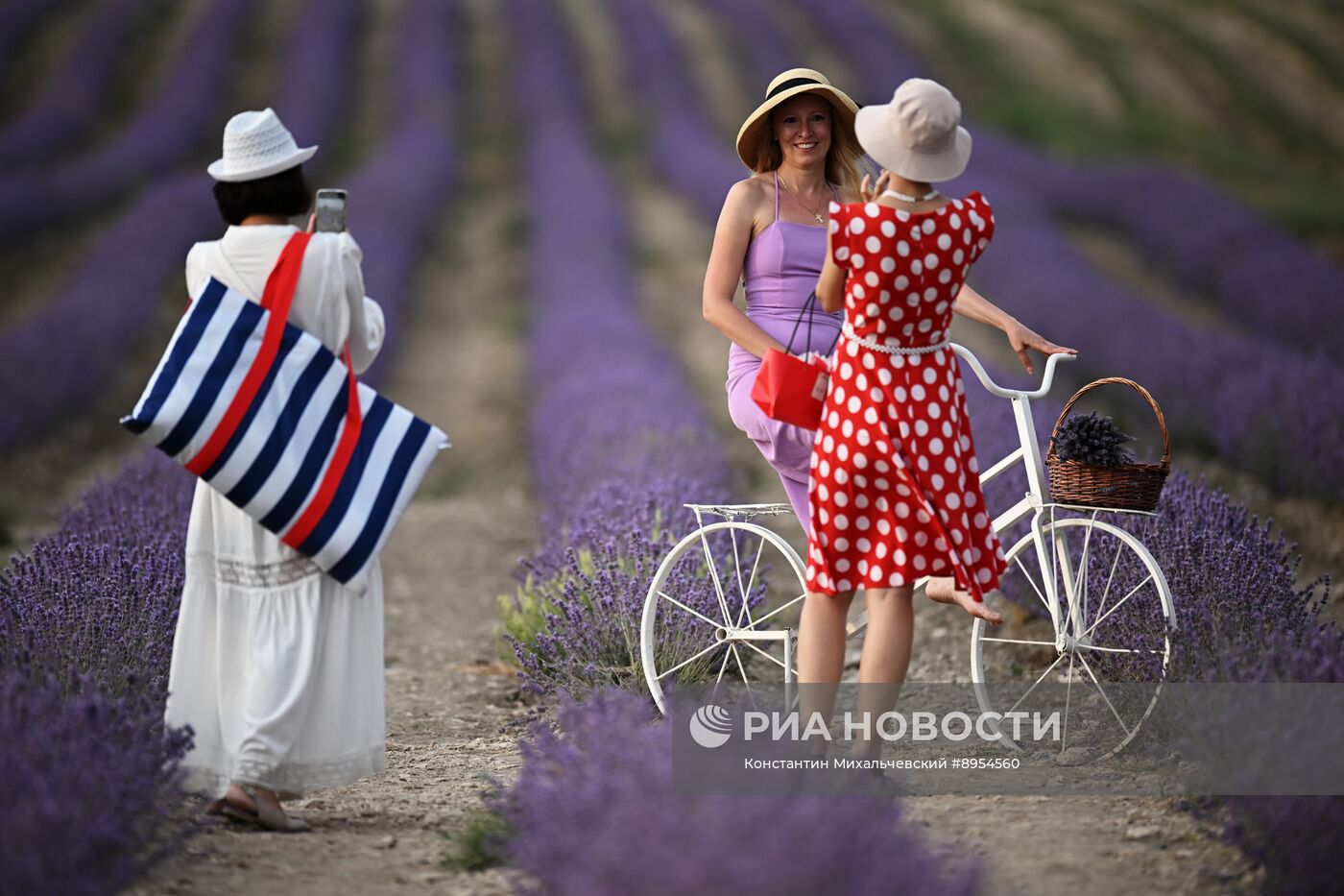 Лавандовые поля в Крыму