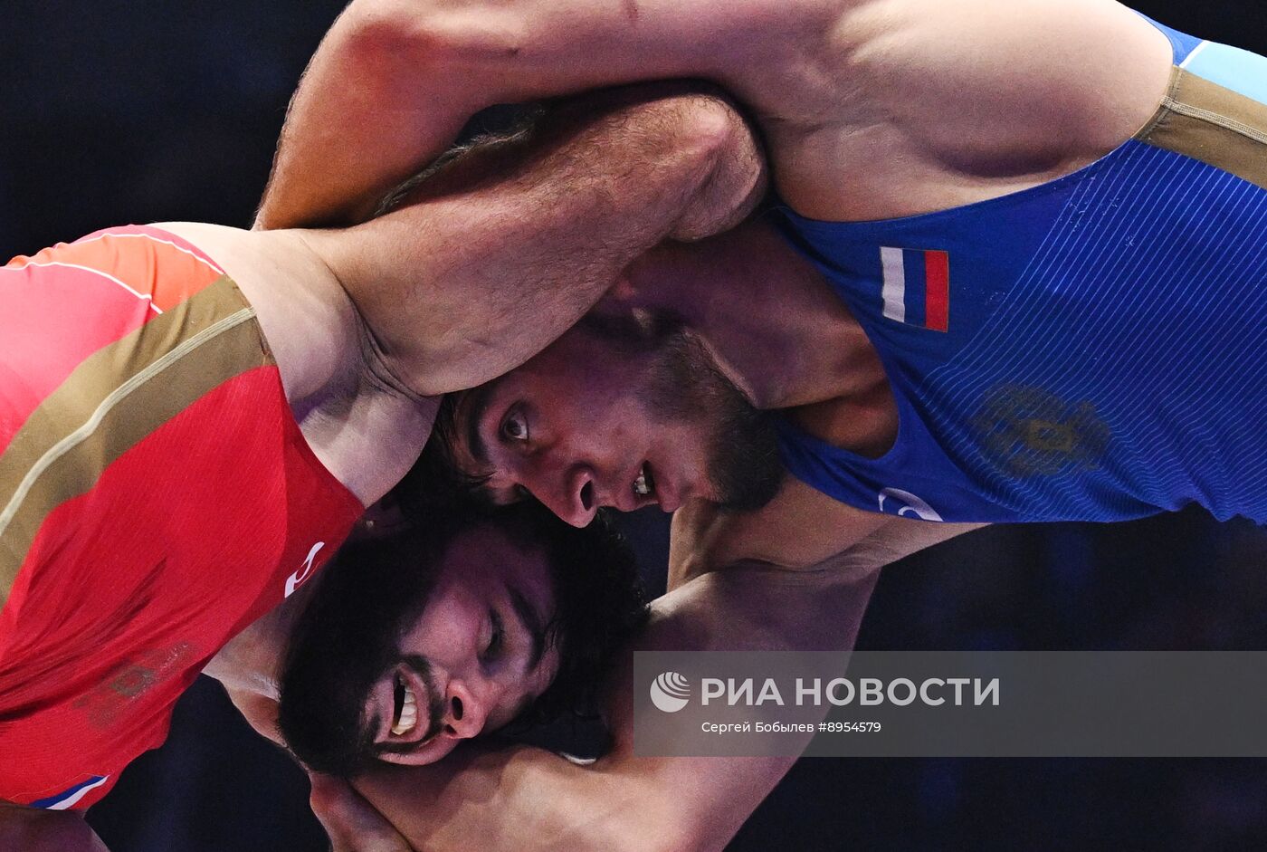 Чемпионат России по вольной борьбе среди мужчин