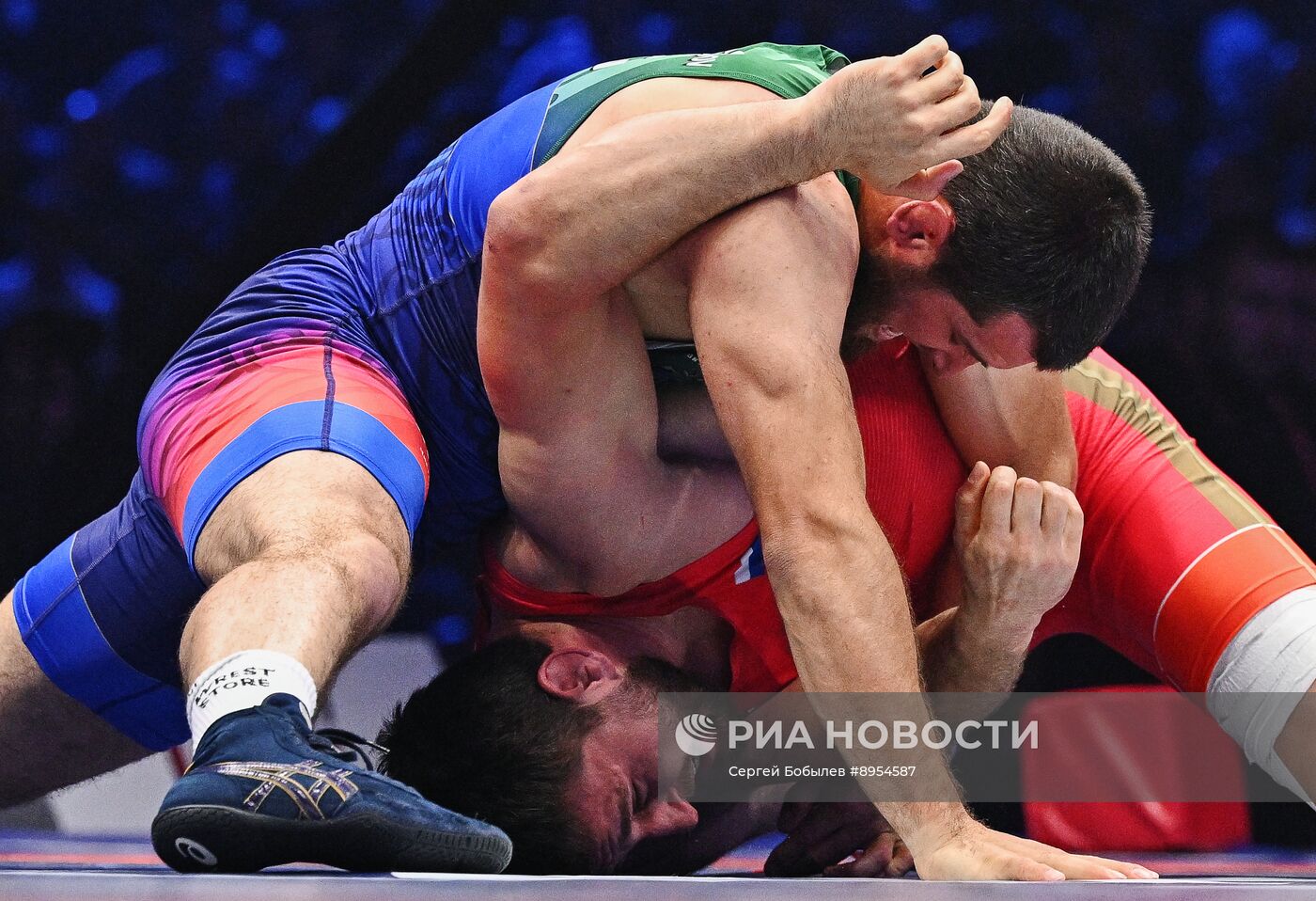 Чемпионат России по вольной борьбе среди мужчин