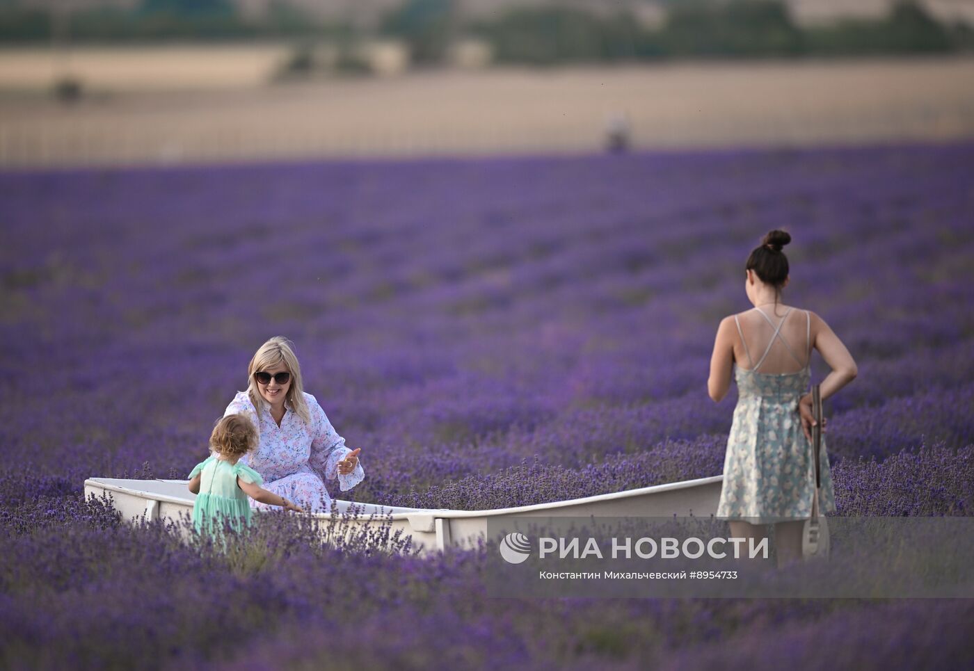 Лавандовые поля в Крыму
